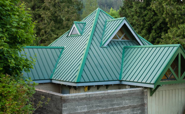 Best Gutter Installation and Repair  in Cane Savannah, SC